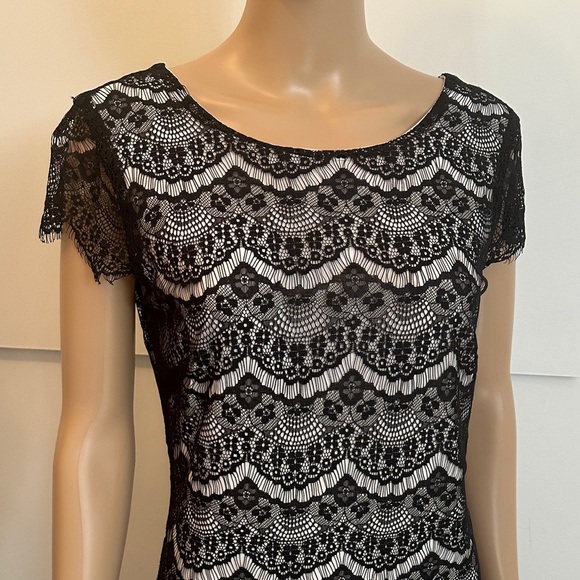 Chic Black Lace Mini Dress - Picture 2 of 7